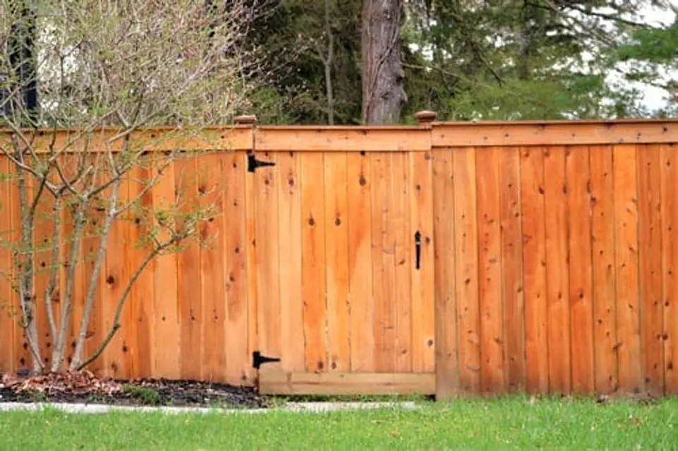 Wood Fence / Cerca de Madera
