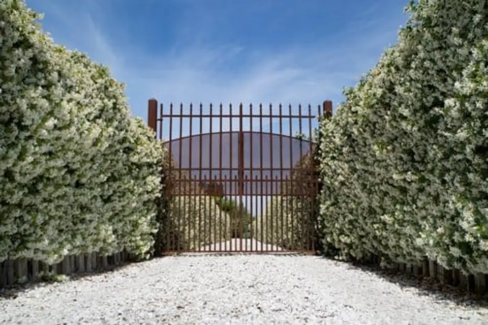 Wrought iron driveway gate and fence line installed by Gates and More Fence Company in Houston, Texas